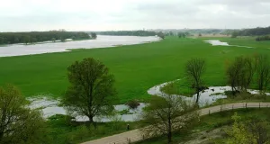 Das Foto zeigt überschwemmte Wiesen am Oderufer bei Lebus. Am Horizont ist der gewaltige Oder-Strom wahrnehmbar.