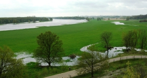 Das Foto zeigt überschwemmte Wiesen am Oderufer bei Lebus. Am Horizont ist der gewaltige Oder-Strom wahrnehmbar.
