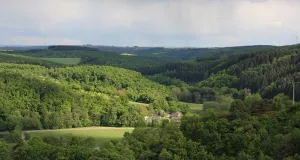 Von einem Aussichtspunkt ist das Elztal mit seinem dicht bewaldeten Hängen zu sehen. Im Tal liegt eine kleine Ortschaft, die von Grünlandflächen umgeben wird.