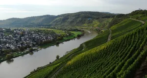 Das Foto zeigt einen Abschnitt des Moseltals. Auf der rechten Seite der Mosel befinden sich Weinberge. Die linke Seite der Mosel ist eben und mit Häusern bebaut.