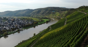 Das Foto zeigt einen Abschnitt des Moseltals. Auf der rechten Seite der Mosel befinden sich Weinberge. Die linke Seite der Mosel ist eben und mit Häusern bebaut.