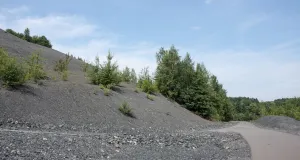 Zu sehen ist ein Schotterweg auf der Halde Göttelborn, ein Relikt des Bergbaus. Aufgeschütteter, grau wirkender Abraum sowie aufkommender Gehölzbewuchs begleiten den Weg.