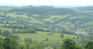 Das Bild zeigt linear angeordnete Gehölzstrukturen in einer hügeligen Landschaft an einem Sommertag.