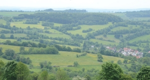 Das Bild zeigt linear angeordnete Gehölzstrukturen in einer hügeligen Landschaft an einem Sommertag.
