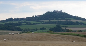 Das Foto zeigt einen Blick auf die bewaldete Anhöhe Veste Otzberg. Die Burganlage ist schemenhaft zu erkennen.