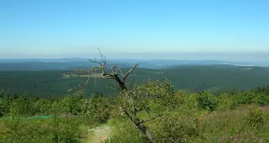 Das Foto zeigt den Ausblick vom Fichtelberg hinein ins Land.