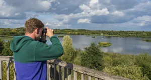 Ein Mann blickt von einer Beobachtungs-Plattform aus durch ein Fernglas auf einen See.