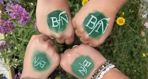 Vier Fäuste mit den BfN Logo bemalt 