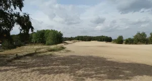 Das Foto zeigt eine offene Sanddüne, die wie es durch die Vielzahl an Fußspuren deutlich wird, durch Besucher stark begangen wird. Am Rand der Düne sind Trockenrasen und Gehölze zu sehen.