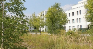 Gestein und Pflanzen im Vordergrund, weiße Häuser im Hintergrund