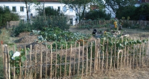 Garten umzäunt, im Hintergrund Wohnhäuser