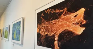 Bilder der Ausstellung 