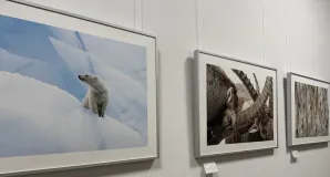 Bilder der Ausstellung 