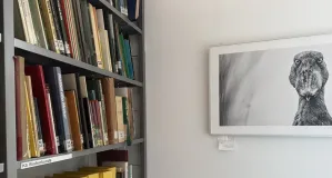 Bilder der Ausstellung 