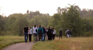 Gruppe von Menschen geht auf einem gepflasterten Weg durch eine grüne, bewaldete Landschaft auf der Insel Vilm