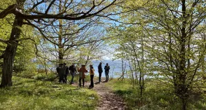 In der Entfernung stehen Personen im frühsommerlichen Wald und genießen bei schönem Wetter die Aussicht auf das Meer oder sind miteinander im Gespräch.