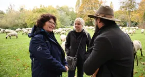 Drei Personen im Gespräch auf einer Wiese mit einer Schafherde im Hintergrund 