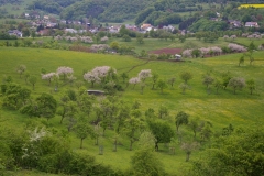 Jagdgebiet der Großen Hufeisennase