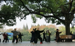 In einem Stadtpark, dem Zhongshan Park in Shanghai, machen zahlreiche Bürger gemeinsam Wudang Tai Chi.