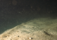 Sandbank mit diagonal durchs Bild ziehenden Megarippeln