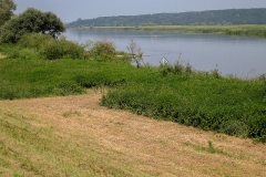 Das Aussetzgebiet an der Oder, Foto: Jörn Geßner