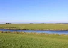 Alt-Text Das Bild zeigt Warften auf der Hallig Hooge an einem sonnigen Tag.