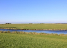 Alt-Text Das Bild zeigt Warften auf der Hallig Hooge an einem sonnigen Tag.