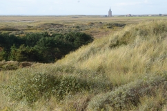 Es sind typische Ausprägungen einer Dünenlandschaft zu sehen. Am Horizont thront der Neue Westturm von Wangerooge.