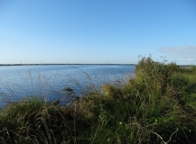 Das Foto zeigt einen Ausschnitt vom „Ewigen Meer“ dem größten Hochmoorsee Deutschlands mit seiner vielfältigen Ufervergetation