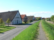 Das Foto zeigt Häuser der ortstypischen Architektur in Mittelnkirchen. Die Mauern bestehen aus Fachwerk und Backstein, während die Dächer zum großen Teil mit Reet gedeckt sind.