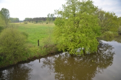 Das Bild gibt einen Eindruck der parkartigen Landschaft im Borkener Paradies wieder. Gehölze und Gebüsche wechseln sich mit Grünland ab. Im Vordergrund ist ein Gewässer zu sehen.