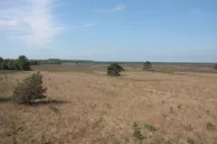 Weite und offene Moorlandschaft im naturnahen Bissendorfer Moor. Es ist ein sonniger Tag.