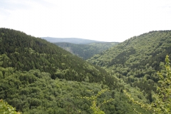 Waldlandschaft des Harzes mit Fernsicht zum Brocken.