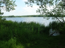 Das Foto zeigt einen See mit üppiger Ufervegetation.