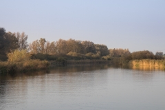 Abendstimmung an der strukturreichen Peene bei Verchen. Das Schilf am Ufer wird von der Sonne angestrahlt und leuchtet gelb.