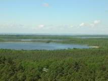 Das Foto zeigt eine Wald- und Seenlandschaft von einem Aussichtspunkt.