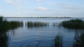 Das Foto zeigt  einen  Auschnitt der Gewässerfläche des Stettiner Haffs mit Beständen von Schilf und Rohrkolben im Uferbereich. Im Hintergrund ist die Ortslage Nowe Warpno (PL) zu sehen.