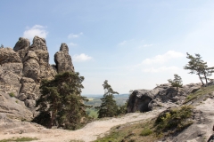 Das Bild zeigt eine markante Felsformation der Teufelsmauer. Auf dem Fels wachsen vereinzelt Nadelgehölze.
