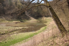 Zu sehen ist der Bauerngraben in der Gipskarstlandschaft Südharz, ein Ponor mit temporärer Wasseranstauung.