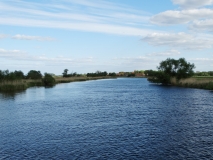 Das Foto zeigt den Fluss Havel in der unteren Havelniederung mit Grünland und einzelnen Weiden im Uferbereich. Im Hintergrund ist ein Dorf zu sehen.