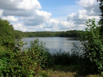 Das Foto zeigt den Amtssee der bis an seine Ufer mit Buchen- und Erlenbruchwäldern umgeben ist.