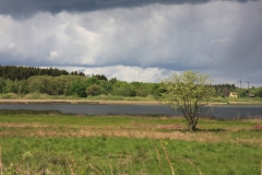 Ein Teich bei Regenstimmung.