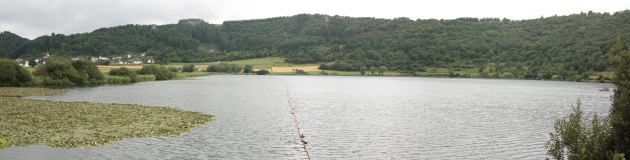 Zu sehen ist ein wassergefüllter Maar. Die Wasserfläche wirkt leuchtend grau, am Uferbereich wachsen Teichrosen. Die typische kreisrunde Form des Maarkessels ist auf dem Foto gut erkennbar. Die angrenzenden Maarhänge sind bewaldet.