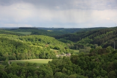 Von einem Aussichtspunkt ist das Elztal mit seinem dicht bewaldeten Hängen zu sehen. Im Tal liegt eine kleine Ortschaft, die von Grünlandflächen umgeben wird.
