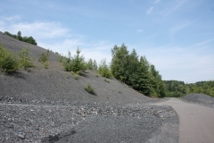 Zu sehen ist ein Schotterweg auf der Halde Göttelborn, ein Relikt des Bergbaus. Aufgeschütteter, grau wirkender Abraum sowie aufkommender Gehölzbewuchs begleiten den Weg.