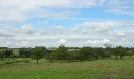 Das Foto zeigt einen Landschaftsausschnitt des Bliesgaus mit seinen häufig vorkommenden Streuobst und Grünlandflächen an den Ortsrandlagen