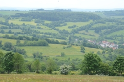 Das Bild zeigt linear angeordnete Gehölzstrukturen in einer hügeligen Landschaft an einem Sommertag.