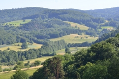 Zu sehen ist das strukturreiche Fischbachtal im Odenwald.