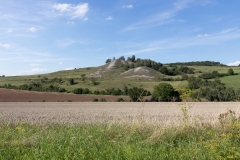 Landschaftsprägender Kippenhügel, ein etwa 50 Meter hoher, kegelförmiger Hügel aus Gipsstein.