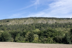 Steil abfallender Muschelkalkhang im Leutra-Tal bei Jena an einem sonnigen Tag.